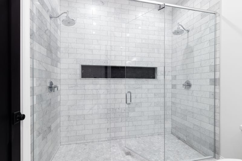 Modern Shower with Frameless Glass